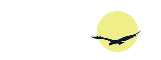 moonbird design