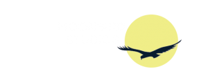 moonbird studios